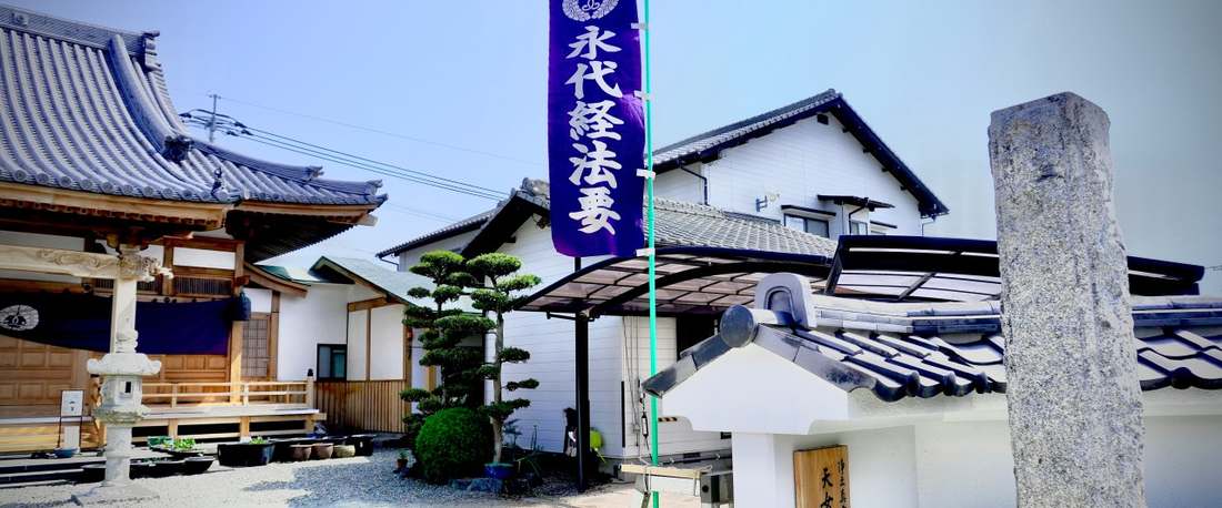 護念寺の境内